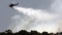 Ribuan Warga Australia Mengungsi Akibat Kebakaran Hutan
