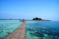 Temuan-Temuan Mengejutkan di Kepulauan Seribu
