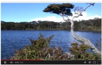 Wow..!!! Ini Dia Telaga Dewi Gunung Singgalang