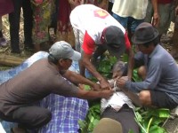 Ikut Sabung Ayam Membuat Pria ini Tewas