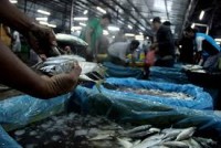 Negara Rugi Rp 300 Triliun Karena Pencuri Ikan