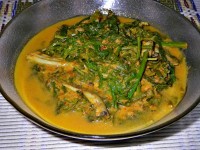 Gulai Lado Hijau, Masakan Pedas Khas Pesisir Selatan