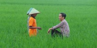 KECEWA, RELAWAN JOKOWI RASANYA INGIN DUKUNG PRABOWO