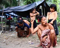Orang Rimba di Jambi Mengalami Kematian Beruntun