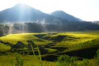 Bandung Miliki Padang Rumput Yang Tak Kalah Dengan Eropa, Mau Tau??