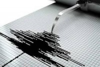 Update Terbaru Gempa di Pariaman, Ternyata Gempa Berpusat di Siberut