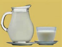 Susu Sapi Berbahaya bagi Tubuh?